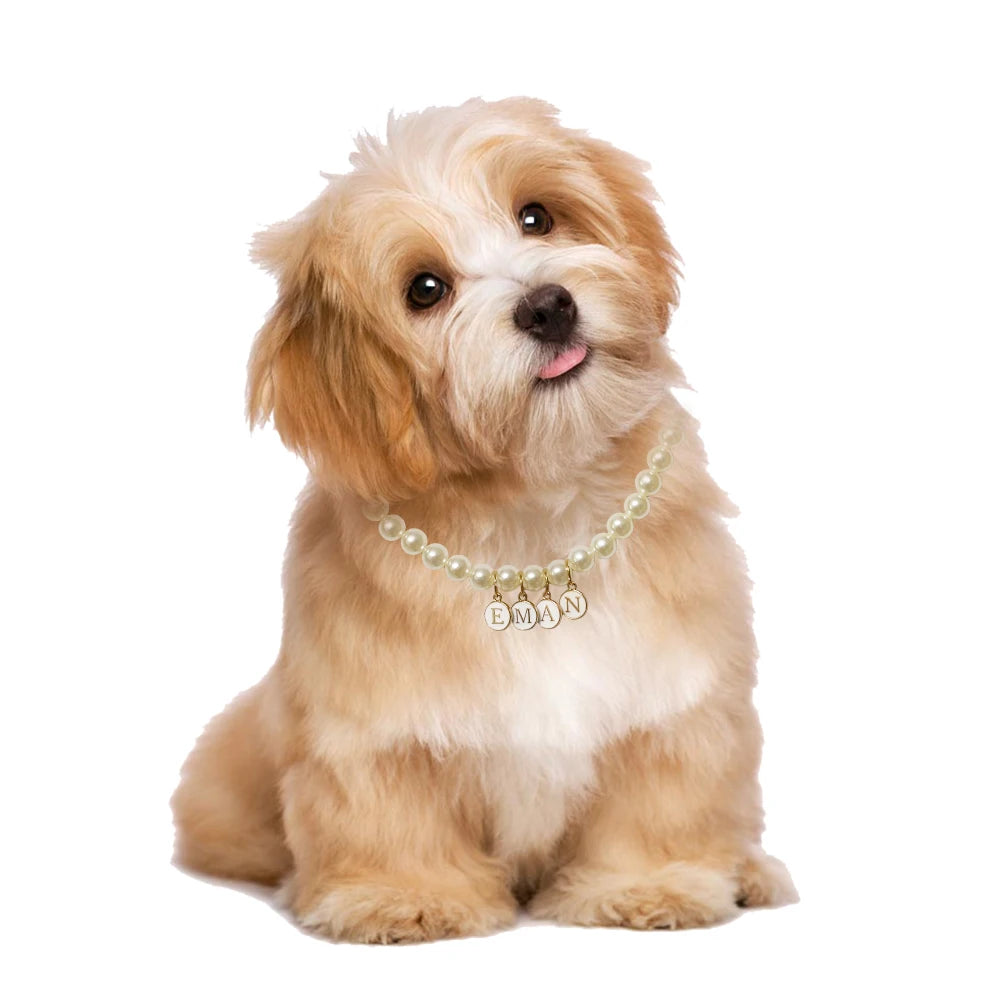 Personalized Elegant Pearl Pet Necklace Collar