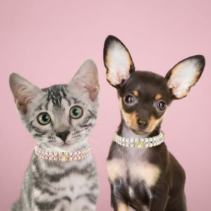 Adjustable Dog Cat Pearl Collars Rhinestone Bling Crystal